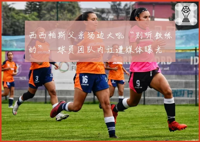 西西帕斯父亲场边大吼“别听教练的”,球员团队内讧遭媒体曝光