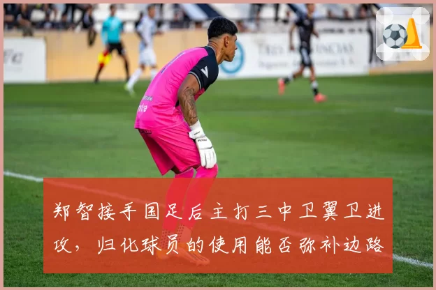 郑智接手国足后主打三中卫翼卫进攻，归化球员的使用能否弥补边路短板？