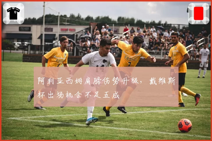 阿利亚西姆肩膀伤势升级，戴维斯杯出场机会不足五成