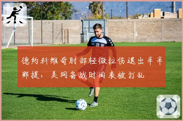 德约科维奇肘部轻微拉伤退出辛辛那提，美网备战时间表被打乱